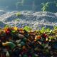 food waste environmental impact