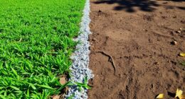 playing surface environmental impact