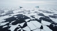 record arctic sea ice lows