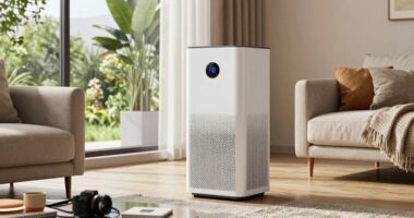 choosing the wrong air purifier