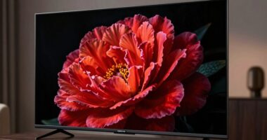 key feature overlooked