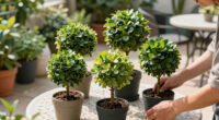 7 Best Topiary Silk Trees Prime Day Deals in 2026