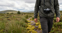 EU Commission Visits High Fagnes Nature Reserve